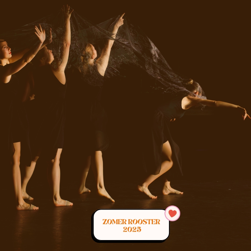 Danceinnovation de lier sgravenzande zomerrooster